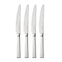 Fairford Bright Steak Knife, Set of 4