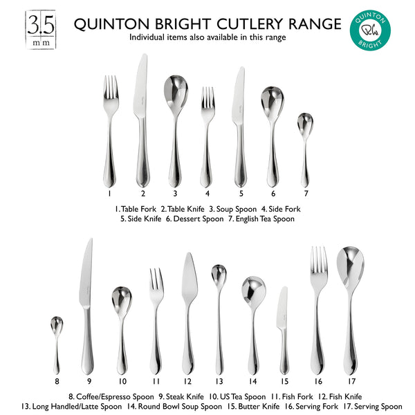 Quinton Bright Serving Fork