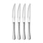 Radford Bright Steak Knife, Set of 4