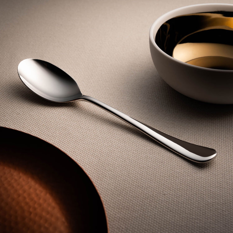 Radford Bright Large Serving Spoon