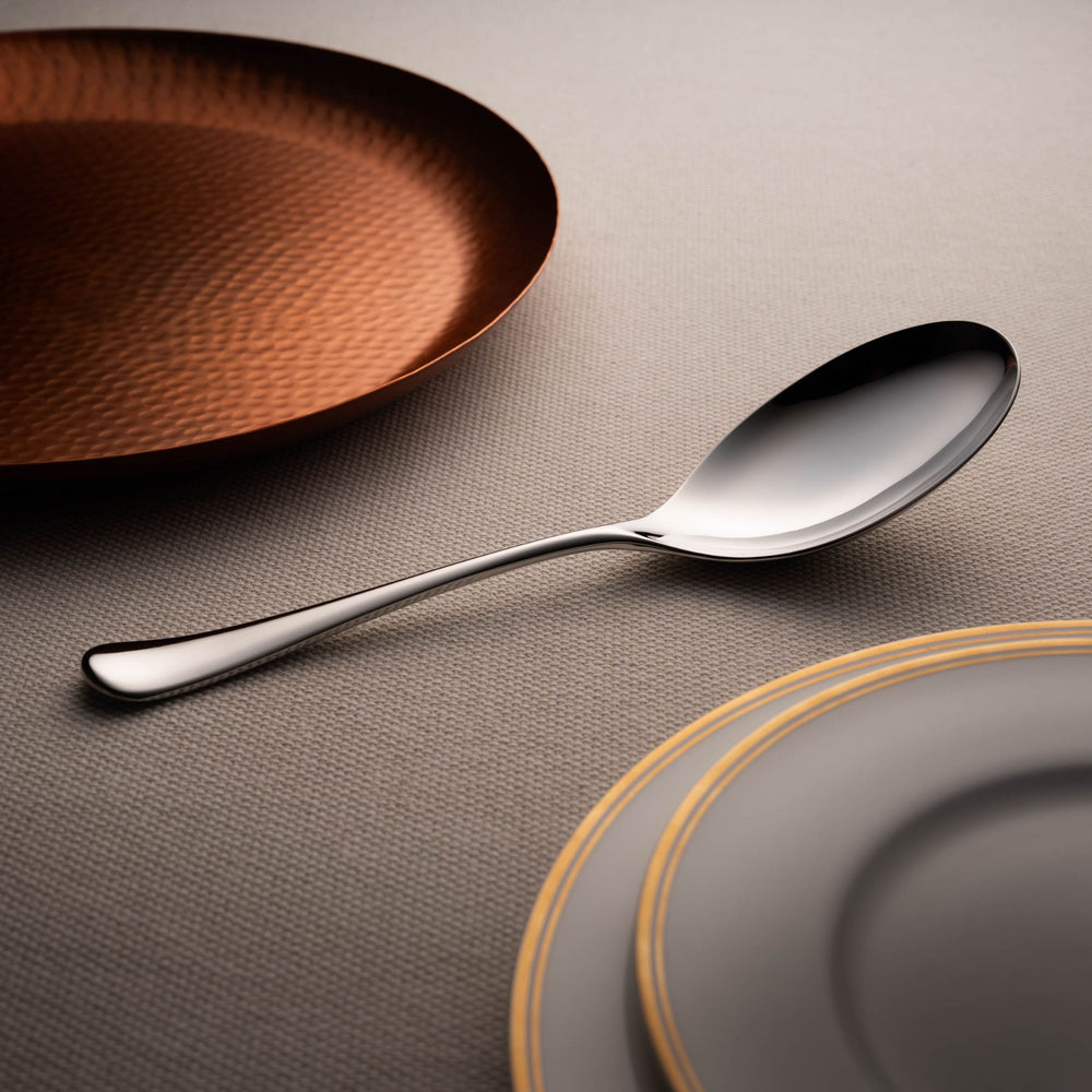 Radford Bright Gourmet Serving Spoon