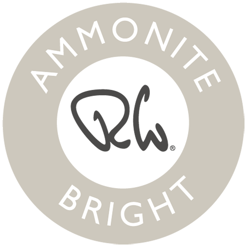 Ammonite Bright Dessert Spoon