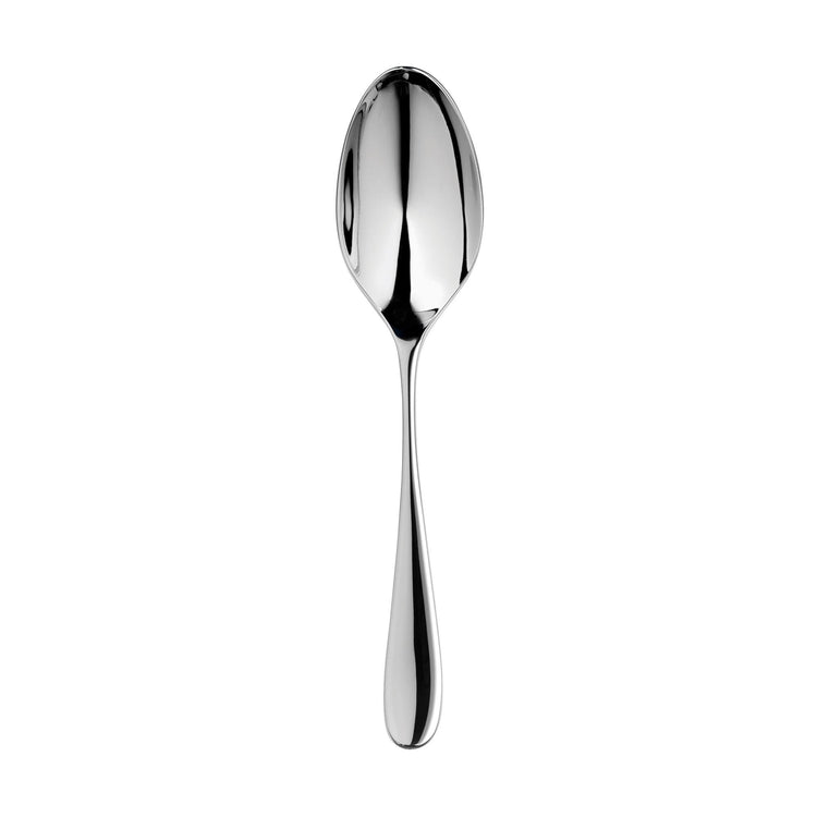 Arden Bright Serving Spoon