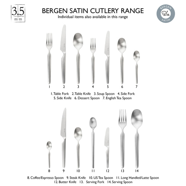 Bergen Satin Serving Spoon