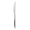 Hidcote Bright Table Knife