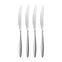 Hidcote Bright Steak Knife, Set of 4