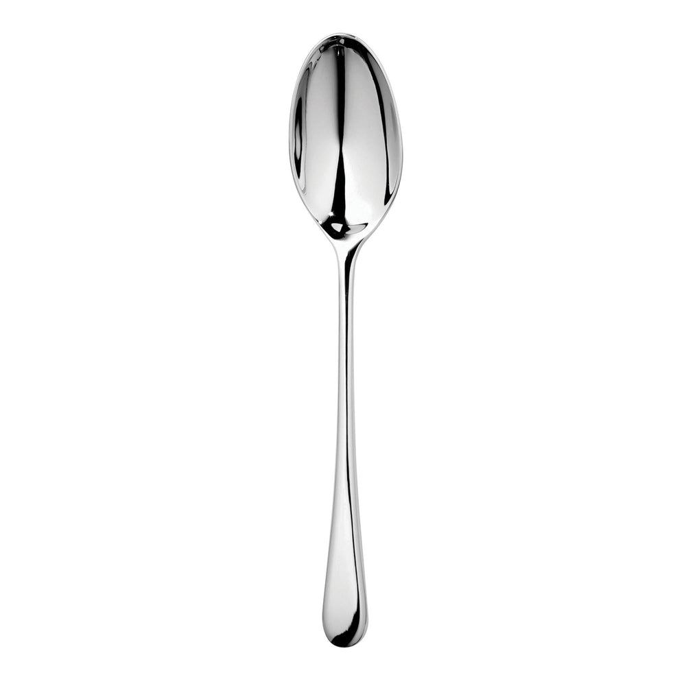 Iona Bright Soup Spoon