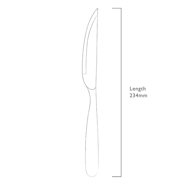 Stanton Bright Steak Knife, Set of 4
